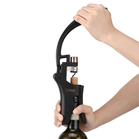 Korkociąg dźwigniowy Shaduf