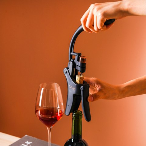 Korkociąg dźwigniowy Shaduf