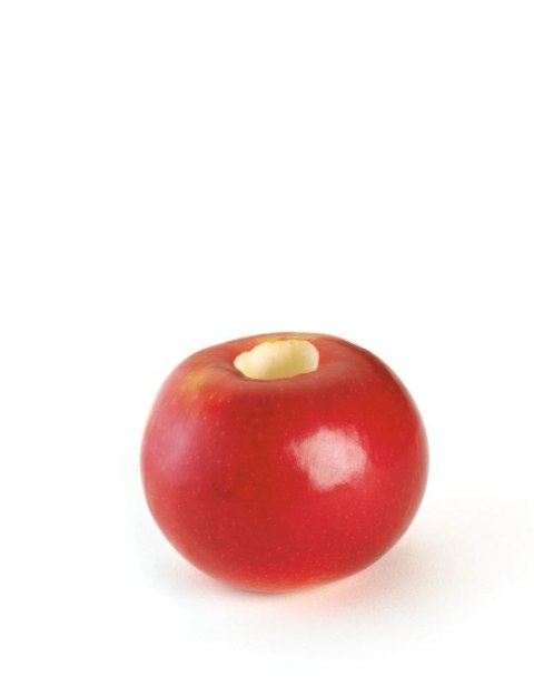 Drylownica do jabłek