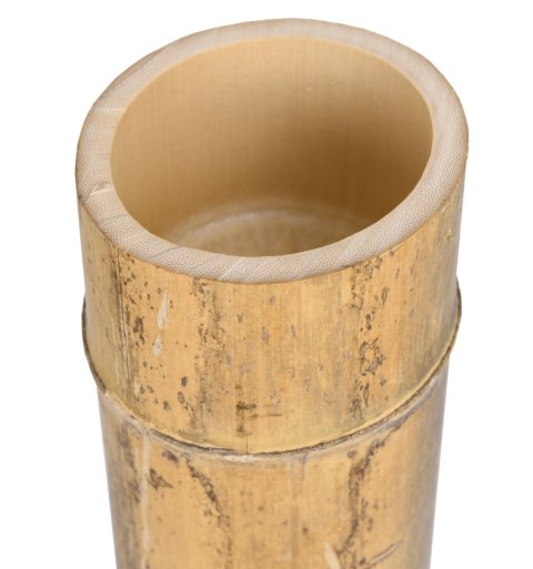 Tyczka bambusowa MOSO 100 cm 9-10 cm