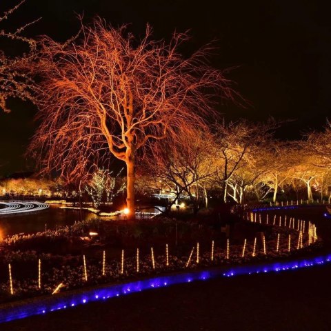 Projektor LED V-TAC 10W czarny E-series IP65 VT-4011 Kolor Czerwony