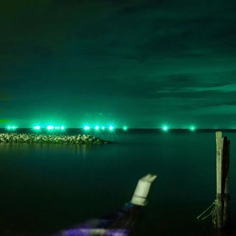 Projektor LED V-TAC 20W SMD E-series czarny VT-4021 Kolor Zielony