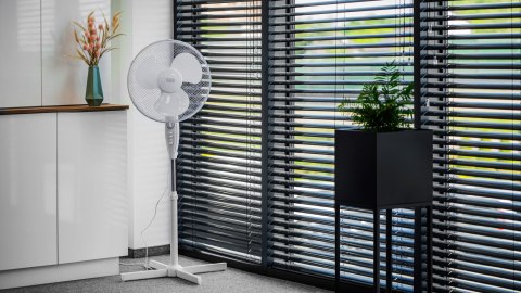 Wentylator stojący Teesa z wyłącznikiem czasowym