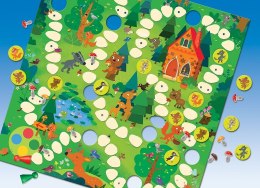 Granna | Grzybobranie