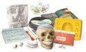 Anatomia | Naukowa zabawa
