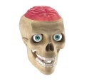Anatomia | Naukowa zabawa