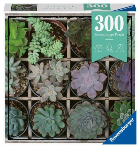 Ravensburger: Puzzle 300el. - Moment 4