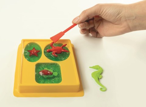 Morskie Mydełka | Naukowa zabawa