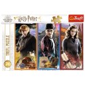 Trefl: Puzzle 200el. - W świecie magii i czarów