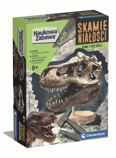 Czaszka T-Rexa | Skamieniałości