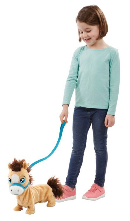 Pumpkin the Pony | AniMagic