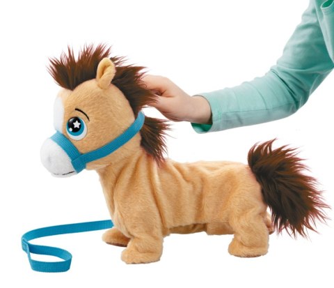 Pumpkin the Pony | AniMagic