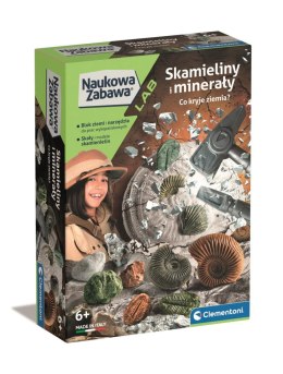 Skamieliny I Minerały | Naukowa zabawa