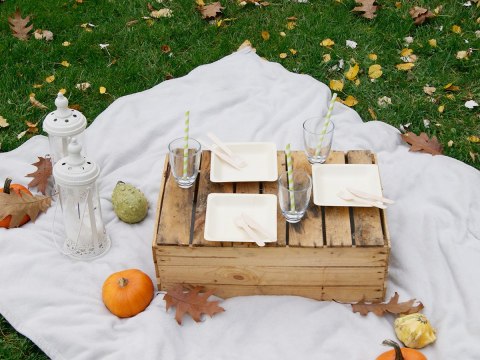 NOŻE JEDNORAZOWE DREWNIANE SZTUĆCE Z DREWNA x100