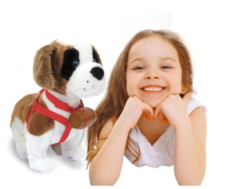 Pies interaktywny | Samby