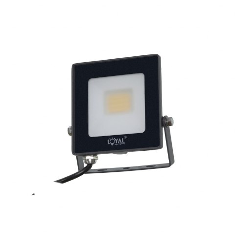 LAMPA Zew. LED Loyal Lighting 2800lm LUMILEDS IP65 4K