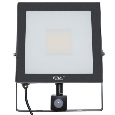 LAMPA Zew. LED Loyal Lighting 7200lm LUMILEDS IP65 4K sensor