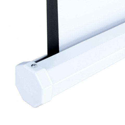 EKRAN RĘCZNY NA STATYWIE 100" 221x124cm TA-100 16:9 ART