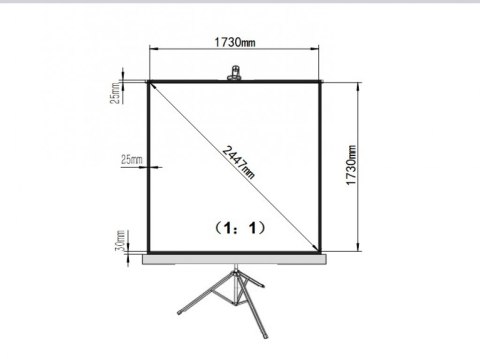 EKRAN RĘCZNY NA STATYWIE 96" 178x178cm TA-70 1:1 ART