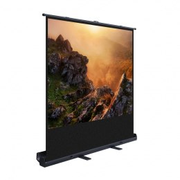 EKRAN RĘCZNY STOJĄCY 80