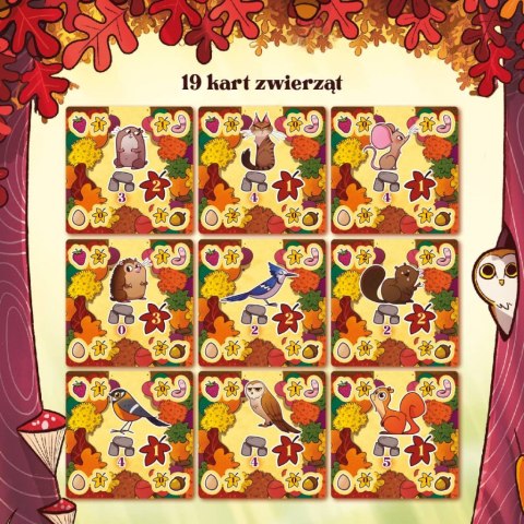 GRA ORZESZKI ZE ŚCIEŻKI - NASZA KSIĘGARNIA