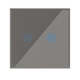 SMART WYŁĄCZNIK ŚWIATŁA WIFI podwójny szary ART oem