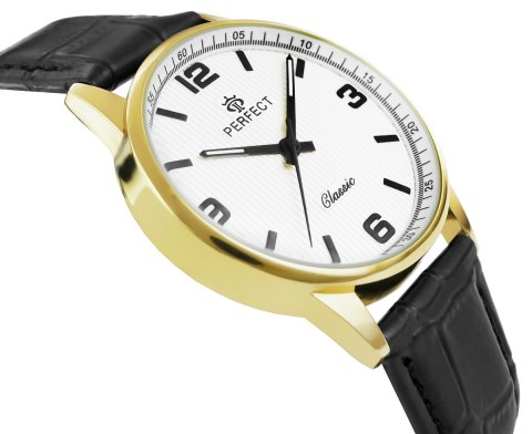 Zegarek Męski PERFECT C457-5