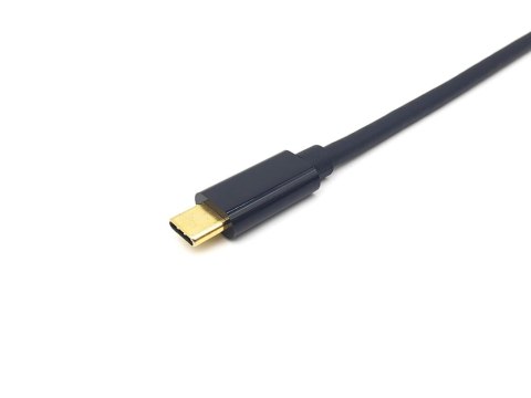 Equip 133427 adapter kablowy 2 m USB Type-C DisplayPort Szary