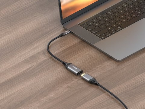 Equip 133493 adapter kablowy 0,15 m USB Type-C DisplayPort Czarny, Szary