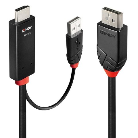 Lindy 41499 adapter kablowy 2 m HDMI + USB Type-A DisplayPort Czarny