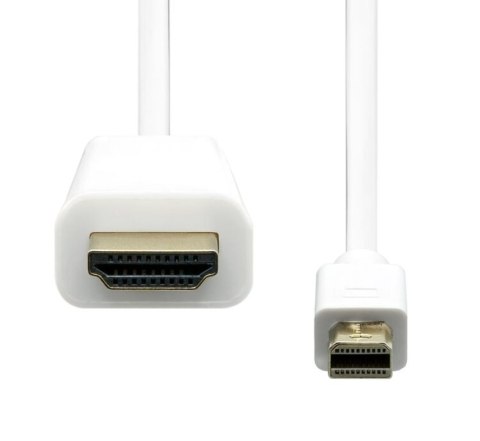 ProXtend MDP1.2-HDMI-005W adapter kablowy 5 m Mini DisplayPort Biały