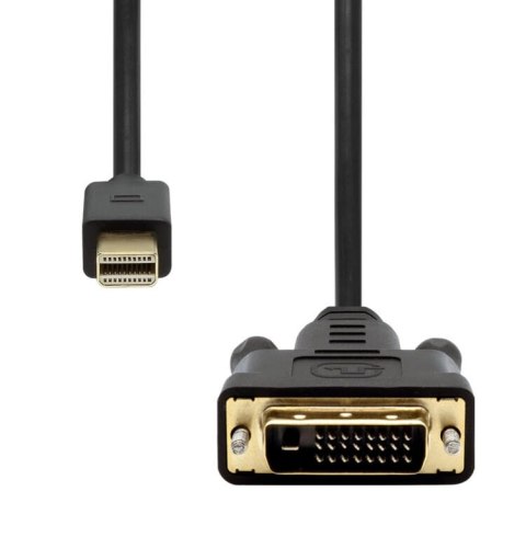 ProXtend Mini Displayport to DVI-D 24+1 1M Czarny