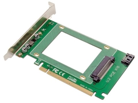 ProXtend PX-SA-10147 adapter Wewnętrzny U.2