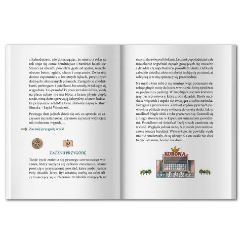 GRA KSIĄŻKOWA ZIELOBÓR. CZY ZDOŁĄSZ URATOWAĆ MIASTO? - MUDUKO