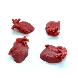 ARKHAM / ELDRITCH - ZESTAW ZNACZNIKÓW ZDROWIA (małe) - GAMES UNPLUGGED