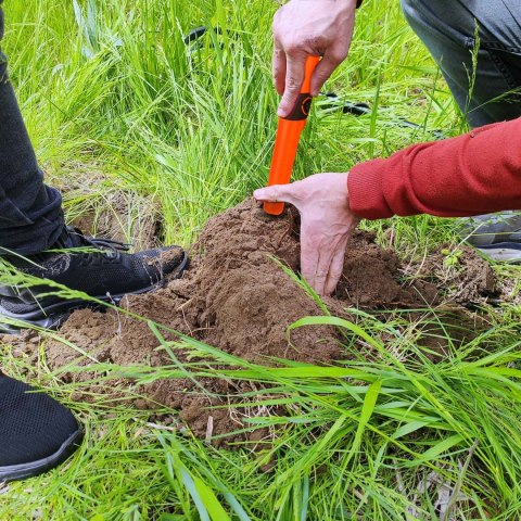 Wykrywacz metalu Pinpointer Cobra Tector CT-1076