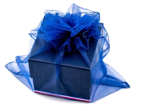 ZEGAREK MĘSKI TOMMY HILFIGER 1791782 PATRICK (zf034b)