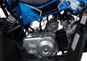 Pojazd Quad Spalinowy RENEGADE HIPERFECT 110CC Niebieski