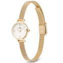 ZEGAREK DAMSKI DANIEL WELLINGTON Petite Mini Gold Stainless Steel 19mm DW00100745 + BOX (zw523b)
