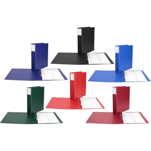 Segregator do akt osobowych Biurfol A4/5.5cm 2R CZARNY