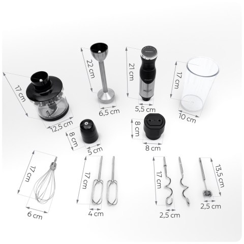 Blender ręczny 1500 W BD-753 Berdsen