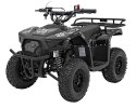 Pojazd Quad Spalinowy 49CC SIRIUS Czarny