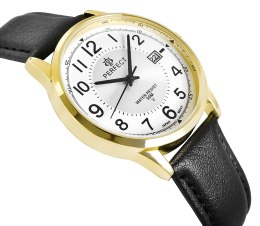 Zegarek Męski PERFECT C710T-09
