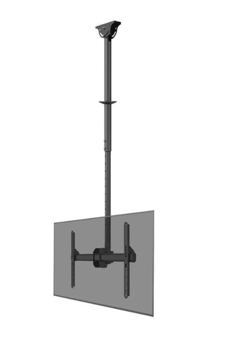 TV SET ACC CEILING MOUNT/37-70" CL35-440BL16L NEOMOUNTS