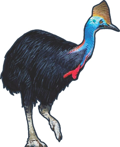 GRA HUTAN podstawa LUCKY DUCK GAMES