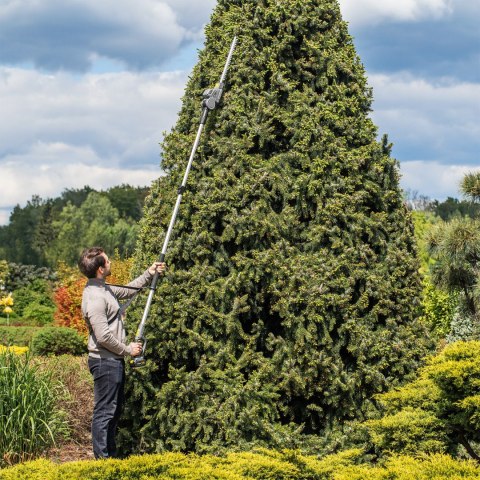 Teleskopowe nożyce akumulatorowe + piła 2w1 Rebel
