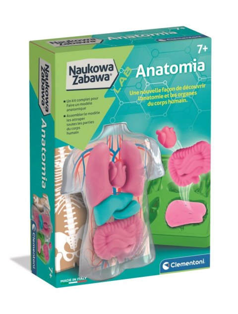 Anatomia | Naukowa zabawa