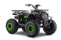 Pojazd Quad Spalinowy 200CC MONSTER Zielony