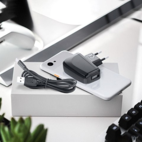 ŁADOWARKA SIECIOWA (AC) USB (max 2A) + odpinany kabel USB typ C BLUE STAR