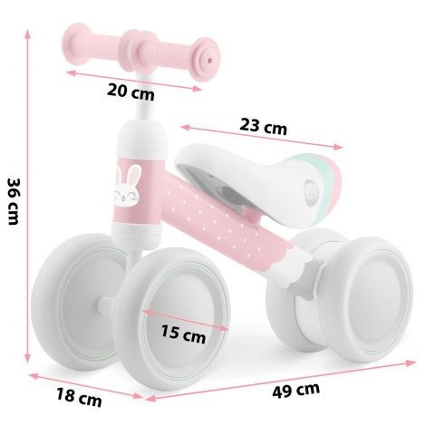 Rowerek biegowy trójkołowy dla dzieci Ricokids